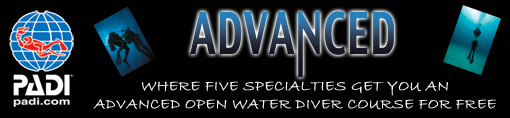 Advanced Specialty Edition Packages header