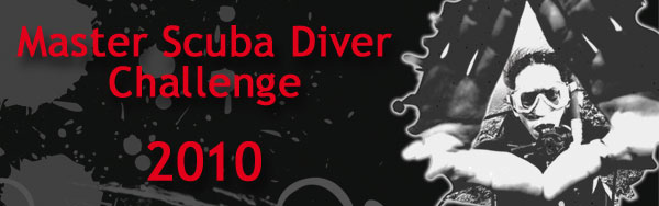 MSD Challenge header