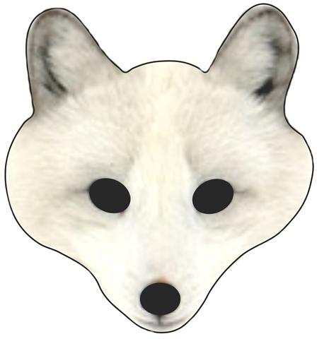 Arctic Fox logo